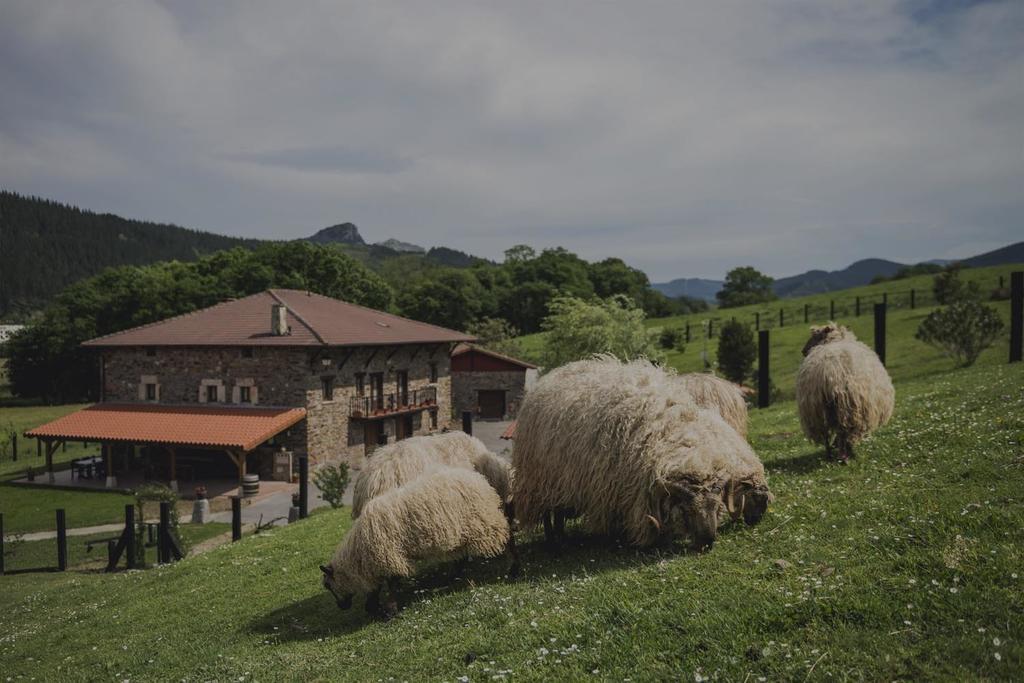 Casa Rural Urikoa Hotel Artea Esterno foto